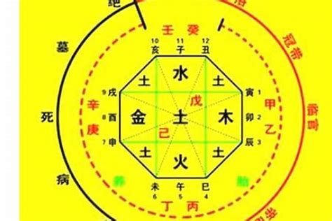 八字金輿|【金輿意思】金輿意象大解析：八字有它的貴人運勢超旺？